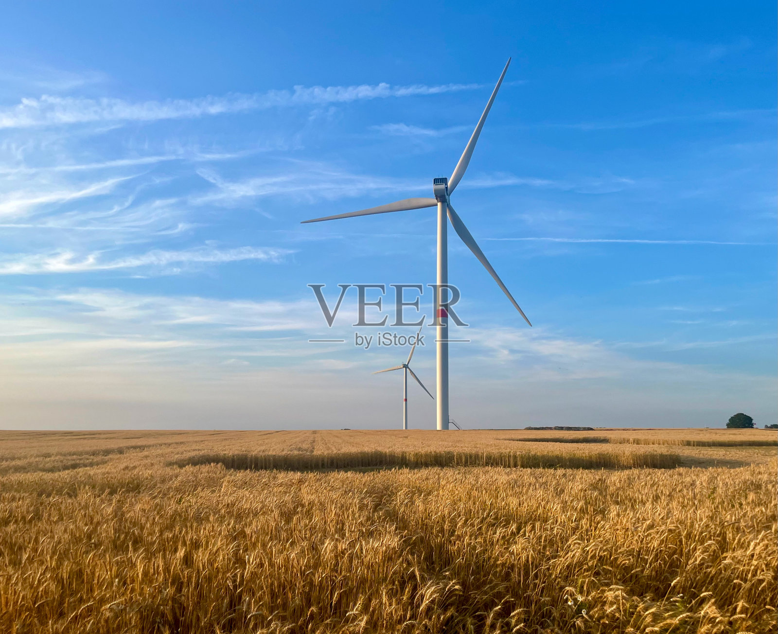 在麦田落日的背景下，风力涡轮机照片摄影图片