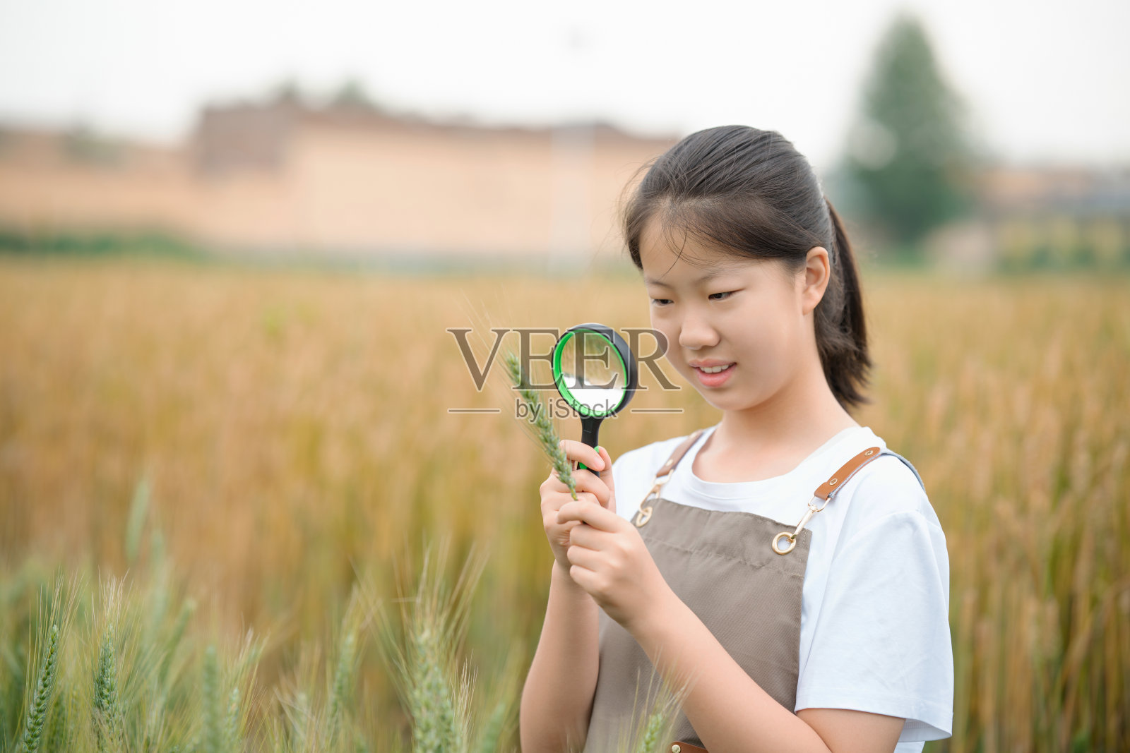 一名初中生正在农田里观察和记录农作物的生长情况照片摄影图片