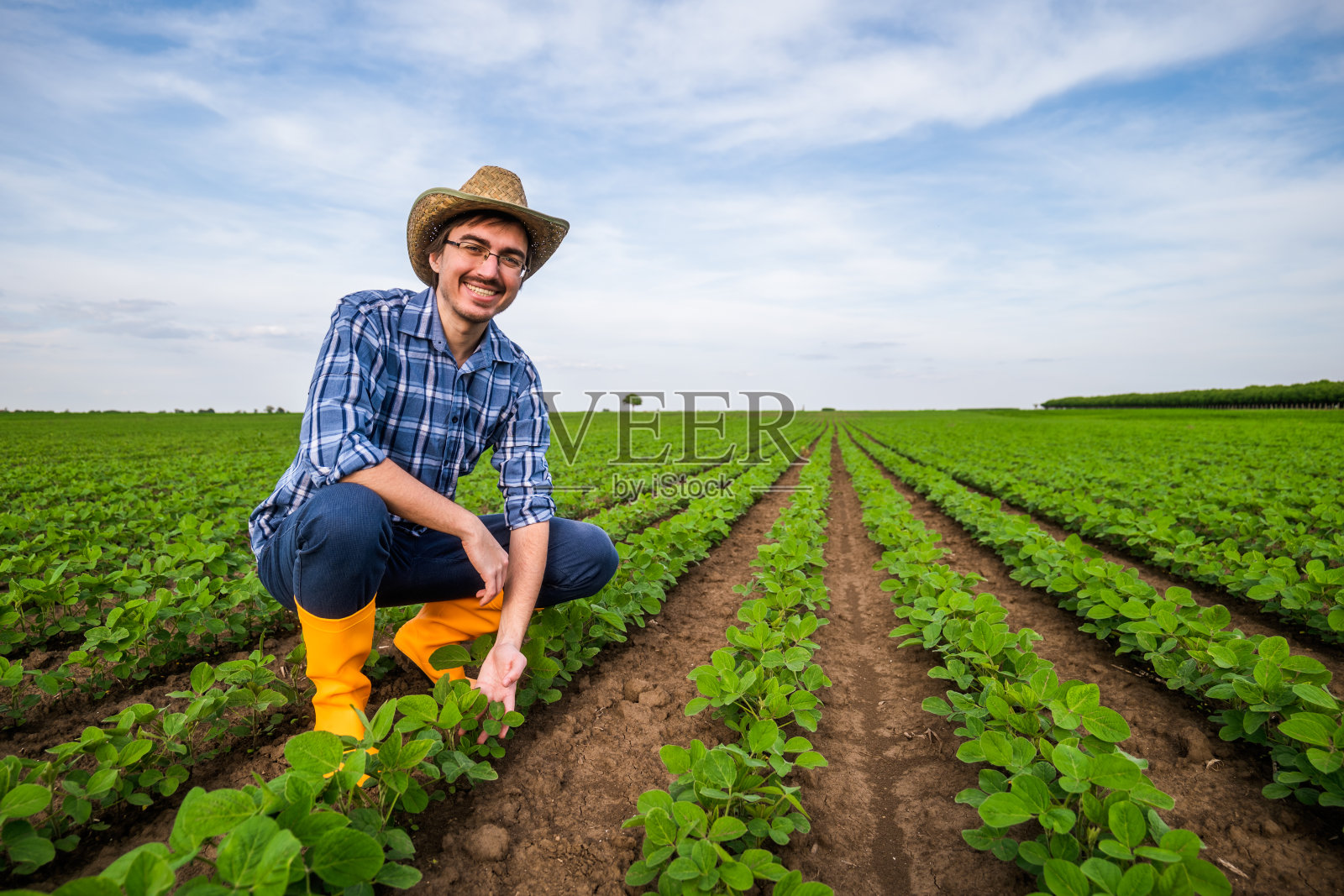 农业照片摄影图片