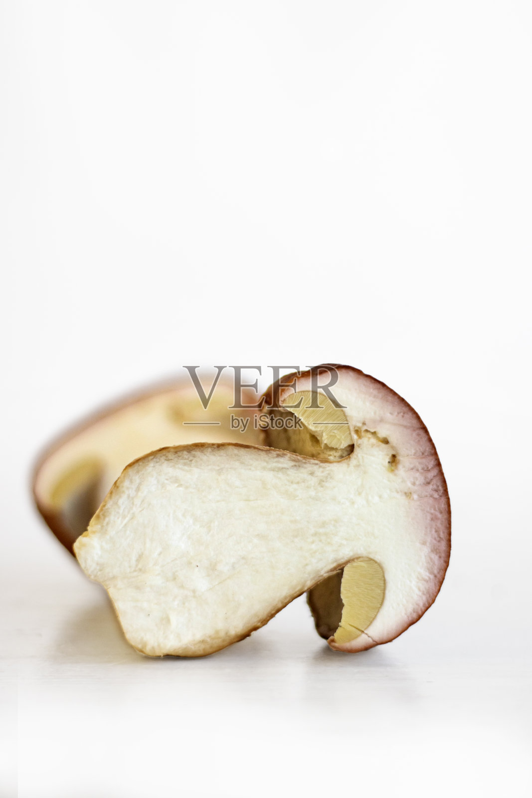 白色背景上分离的野生牛肝菌。有虫的切片菌。半片。真菌肉里有虫的痕迹。为冬天收割。准备干燥。有选择性的重点。本空间照片摄影图片