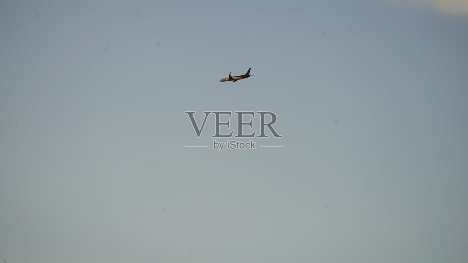 湿地公园照片摄影图片