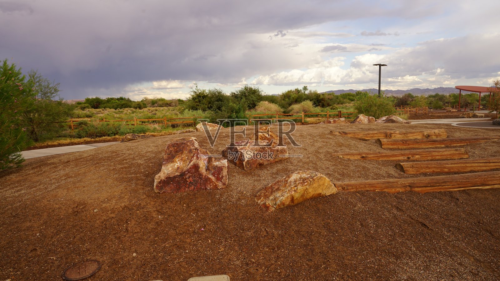 湿地公园照片摄影图片