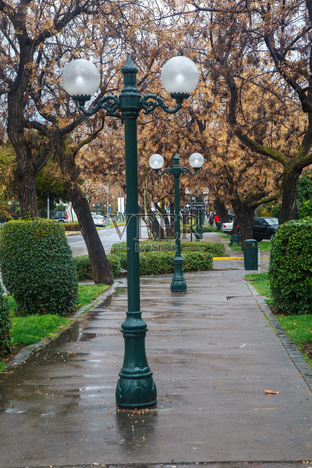 智利圣地亚哥，宁静的社区，冬天光秃秃的树木照片摄影图片
