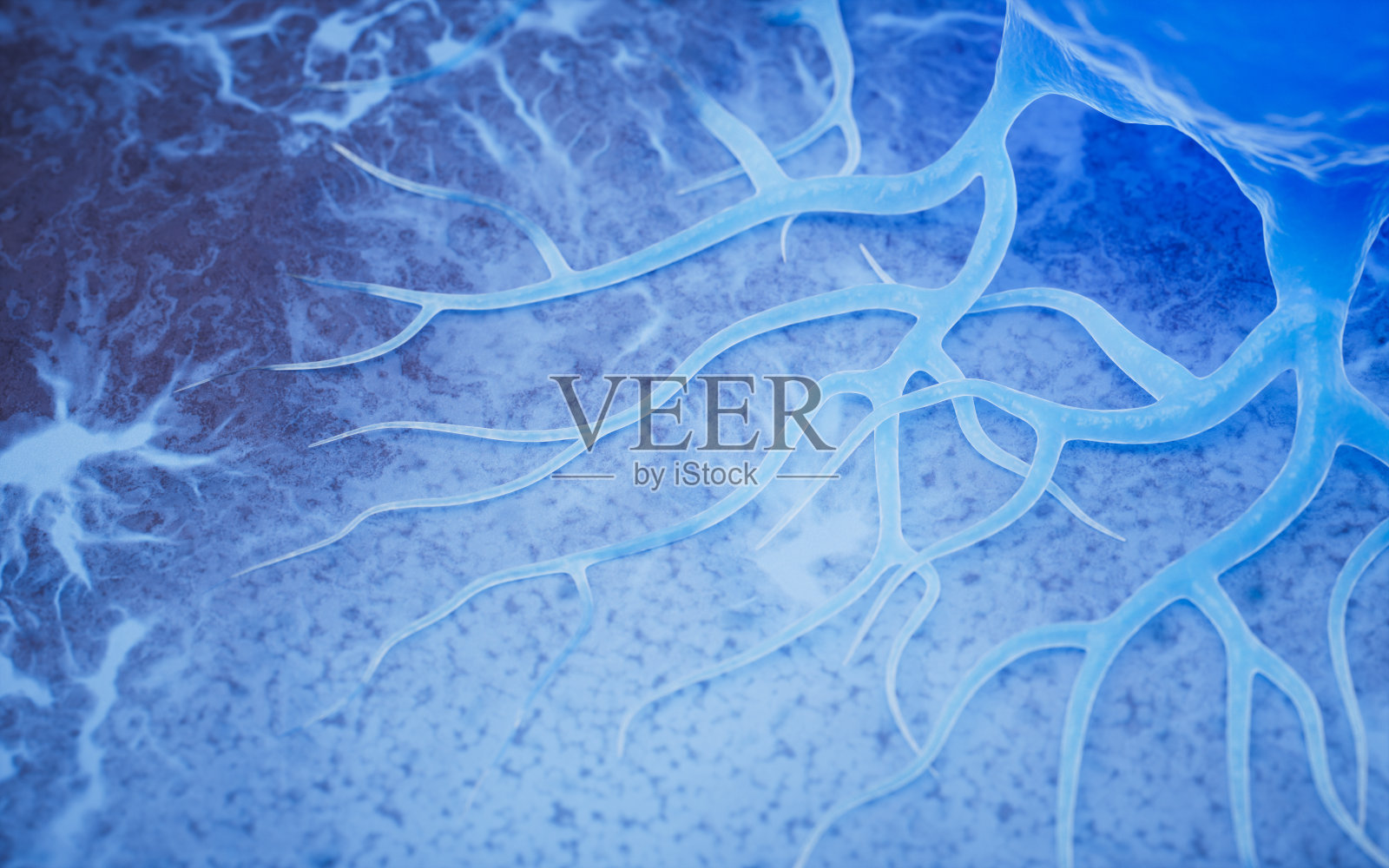 有机微生物触须背景，3d渲染。照片摄影图片