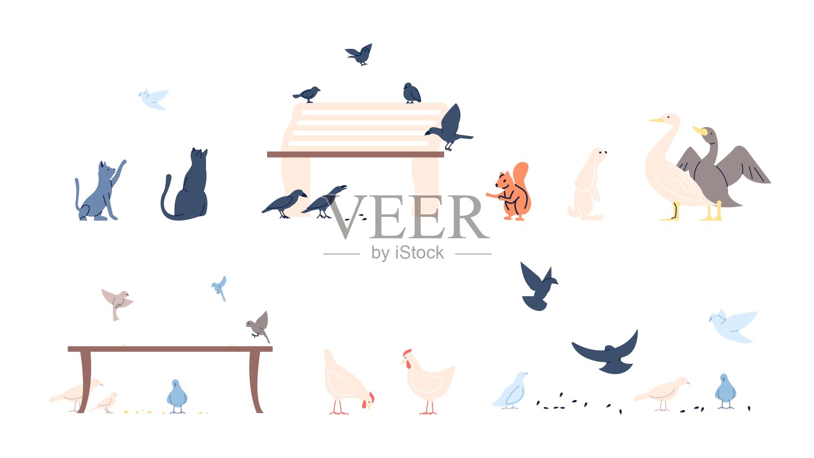 动物和鸟类喂养。猫、鸽子、松鼠、鹅、鸡和兔子。鸽子、乌鸦和麻雀在公园长凳上飞翔，寻找种子，矢量集插画图片素材
