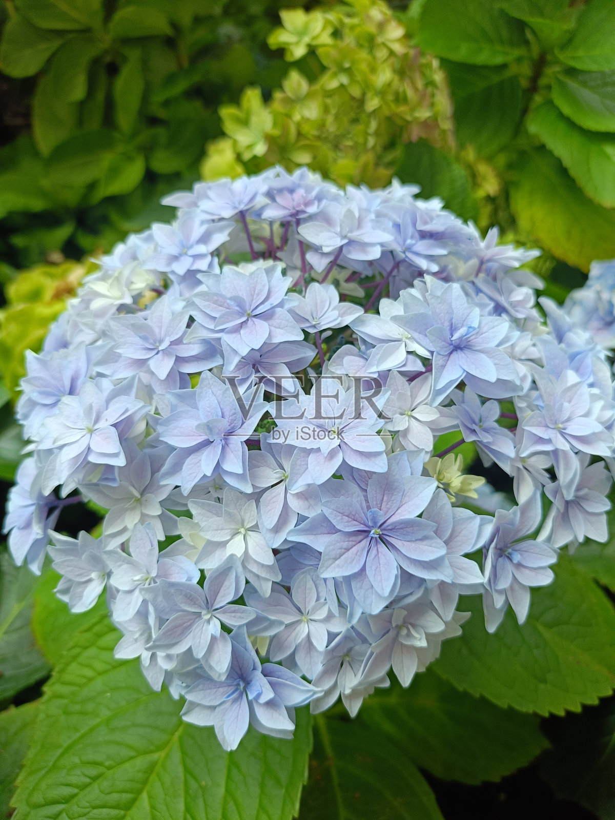 大自然的奇迹照片摄影图片