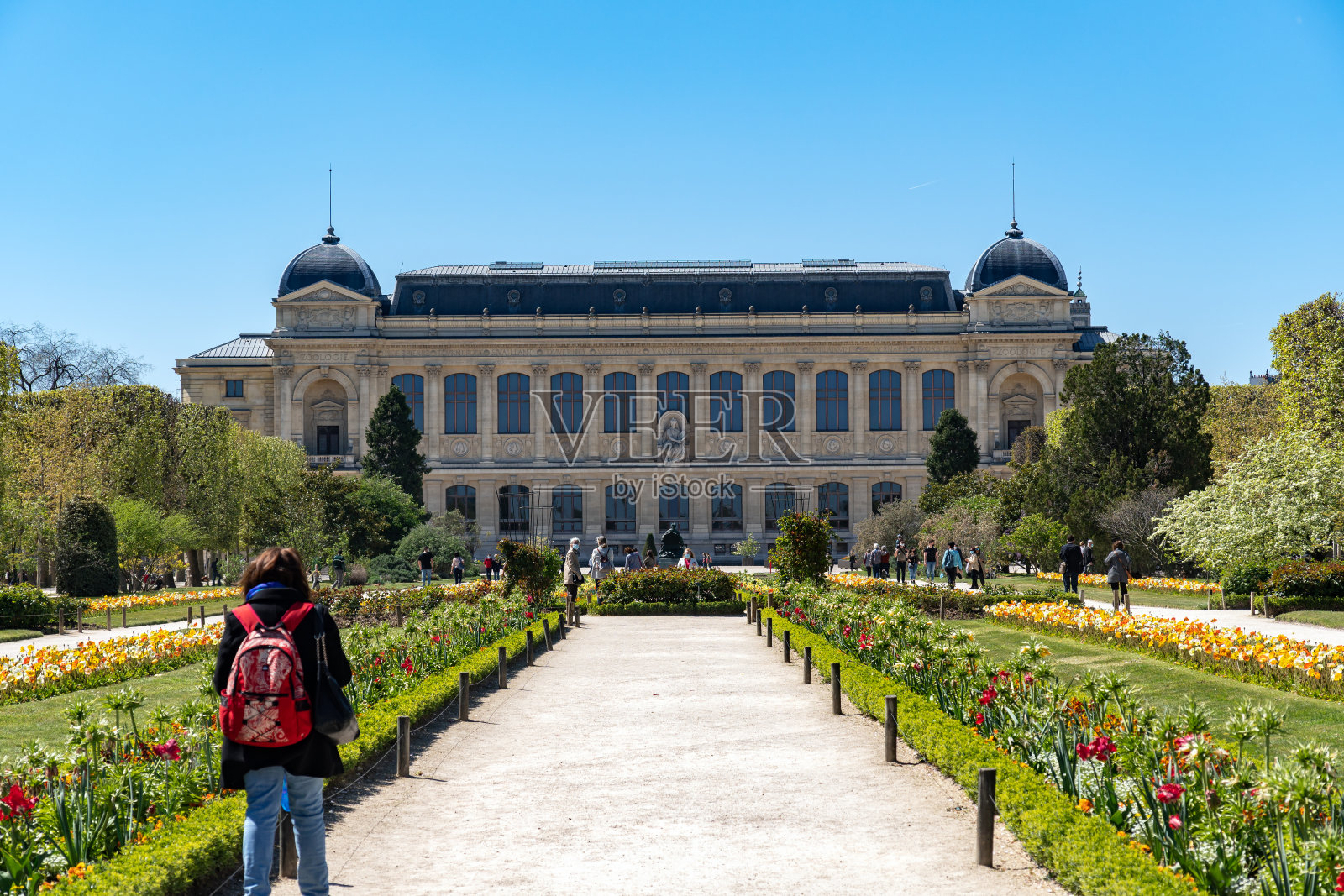 巴黎的植物园照片摄影图片