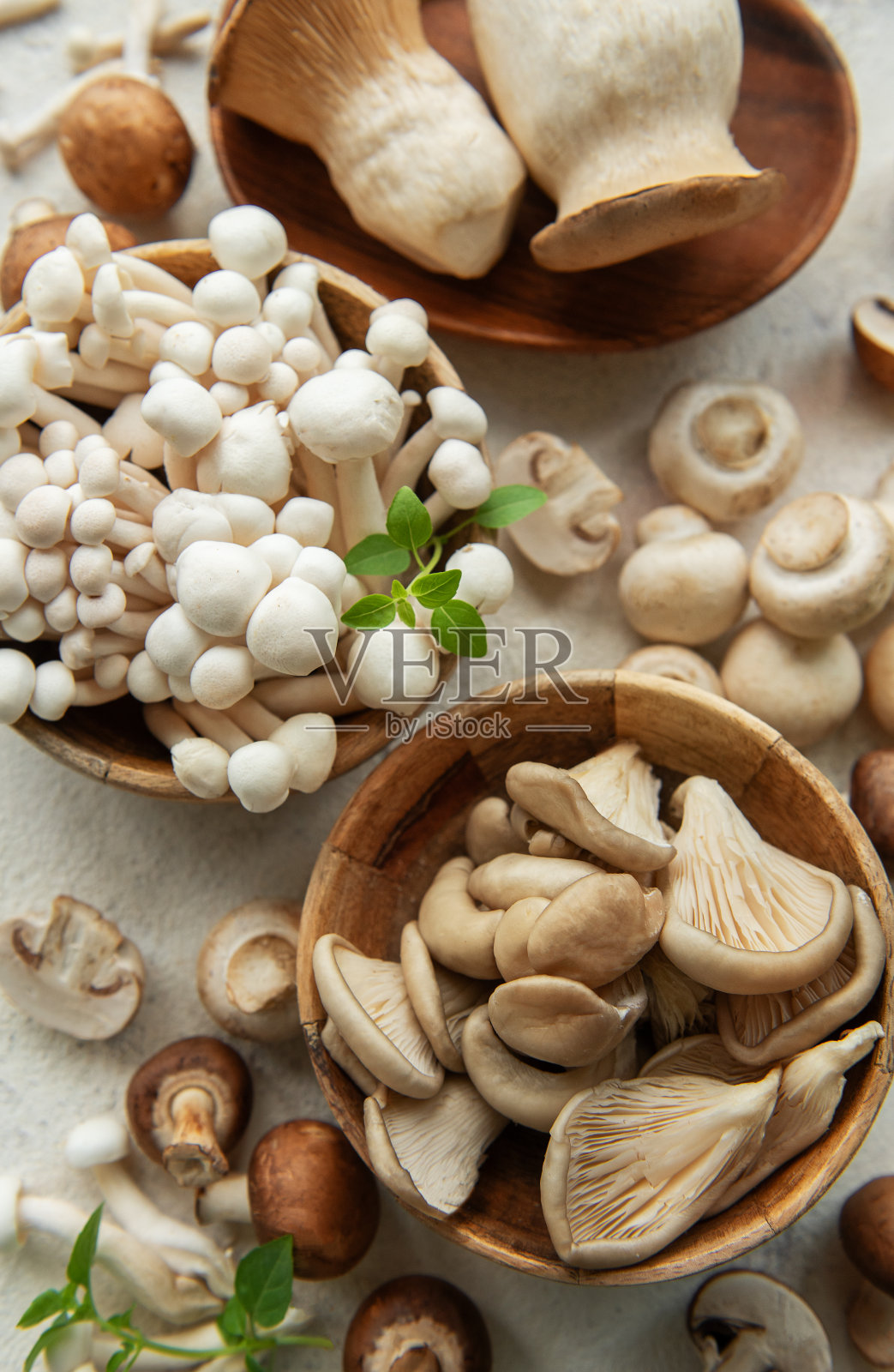 各式各样的生蘑菇照片摄影图片