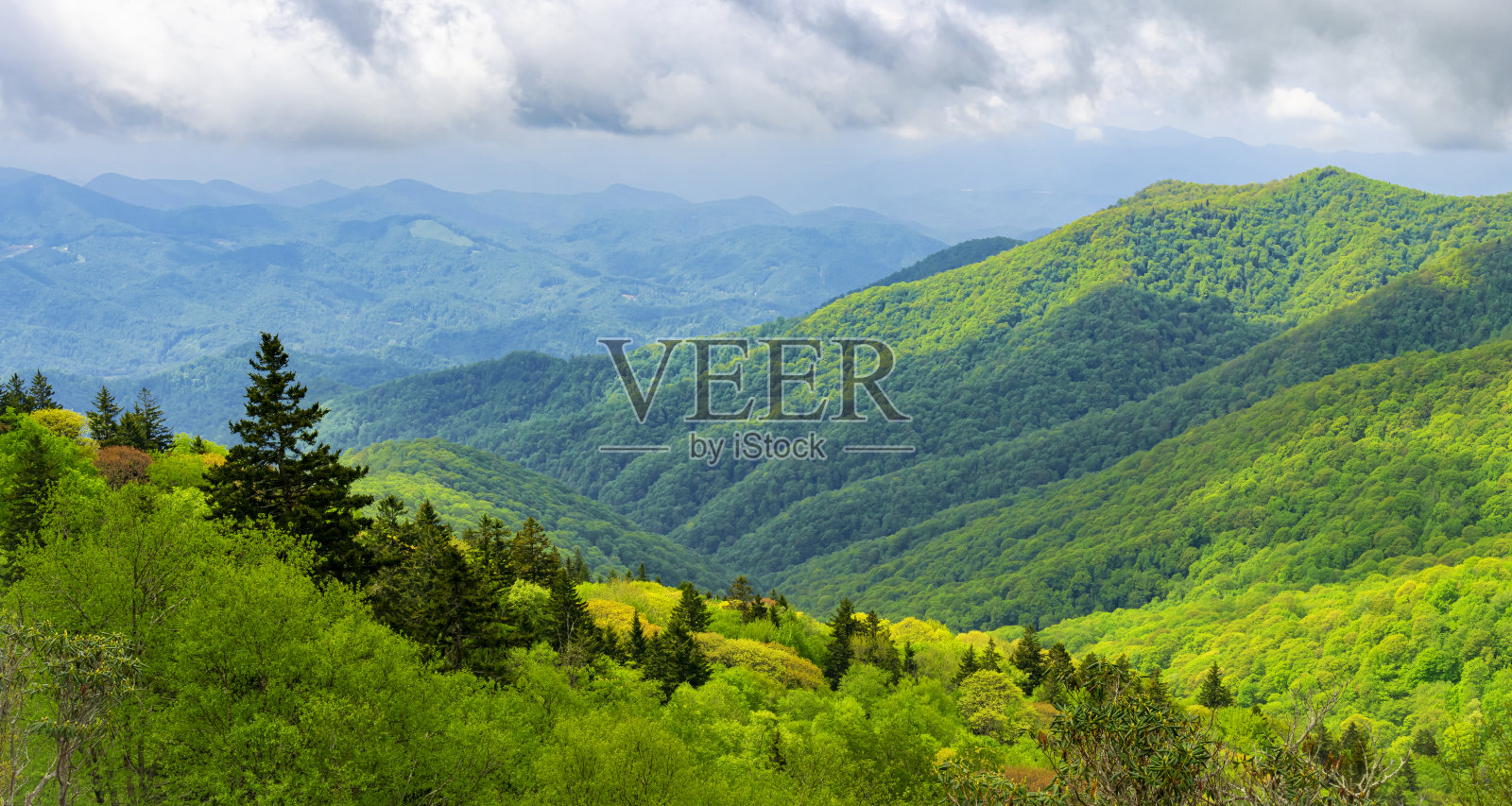 沿着蓝岭公园大道的全景:黄脸俯瞰，北卡罗来纳州照片摄影图片