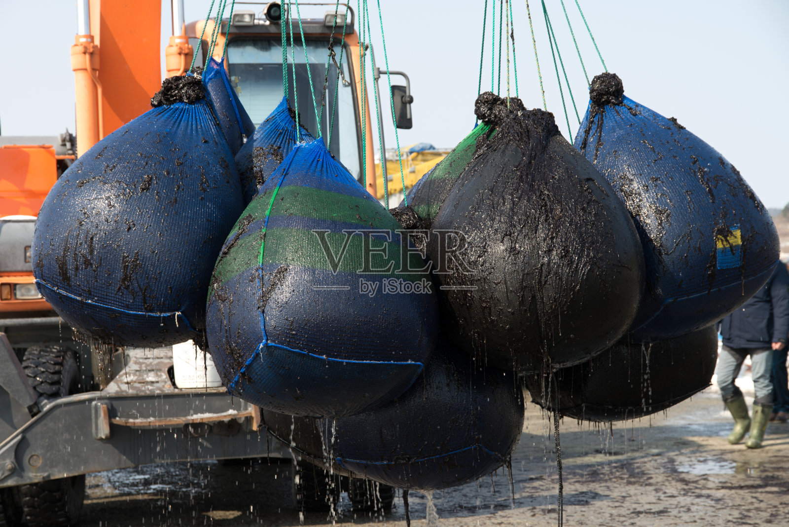 冬天海边装紫菜的大袋子照片摄影图片