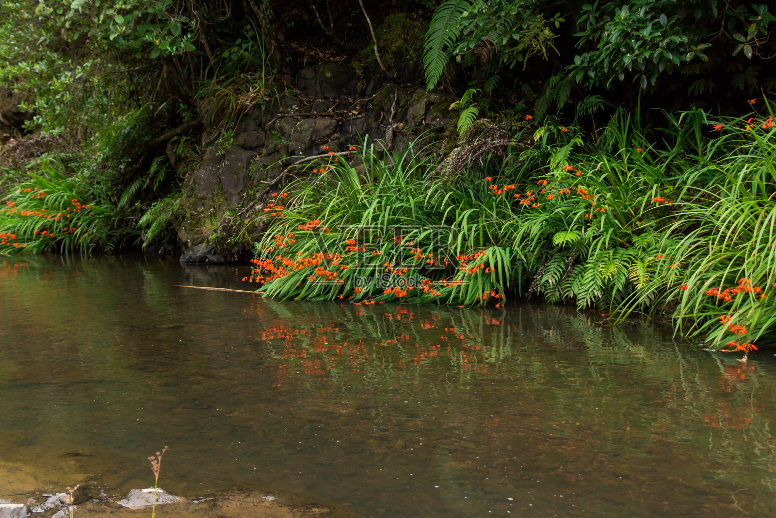 湖南峡谷的海斯溪照片摄影图片