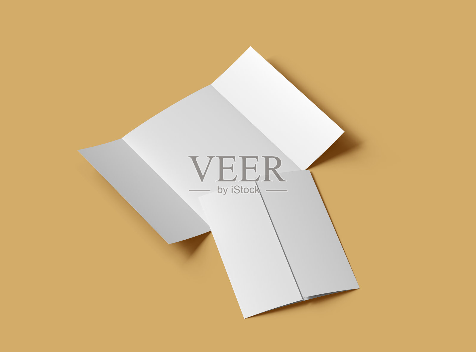 可定制的信门折叠小册子模型8x11 inc来展示您的设计。三维渲染照片摄影图片