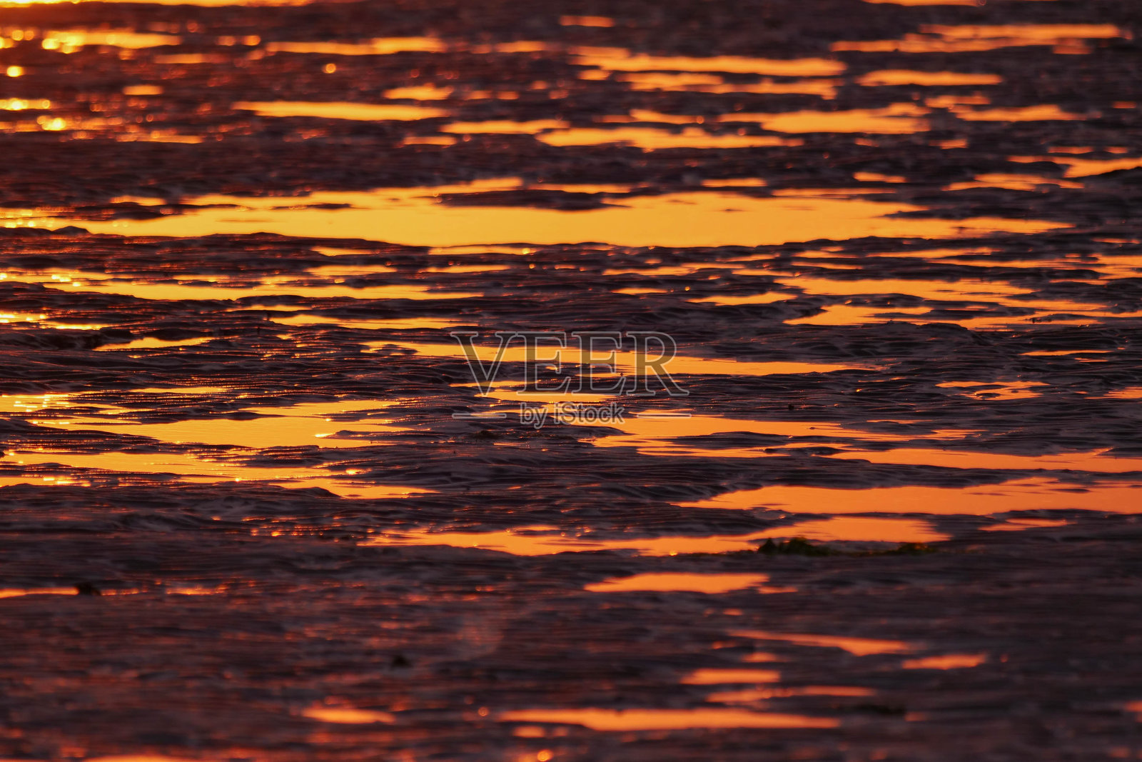 黄昏的光线反射在瓦登海的水坑上照片摄影图片