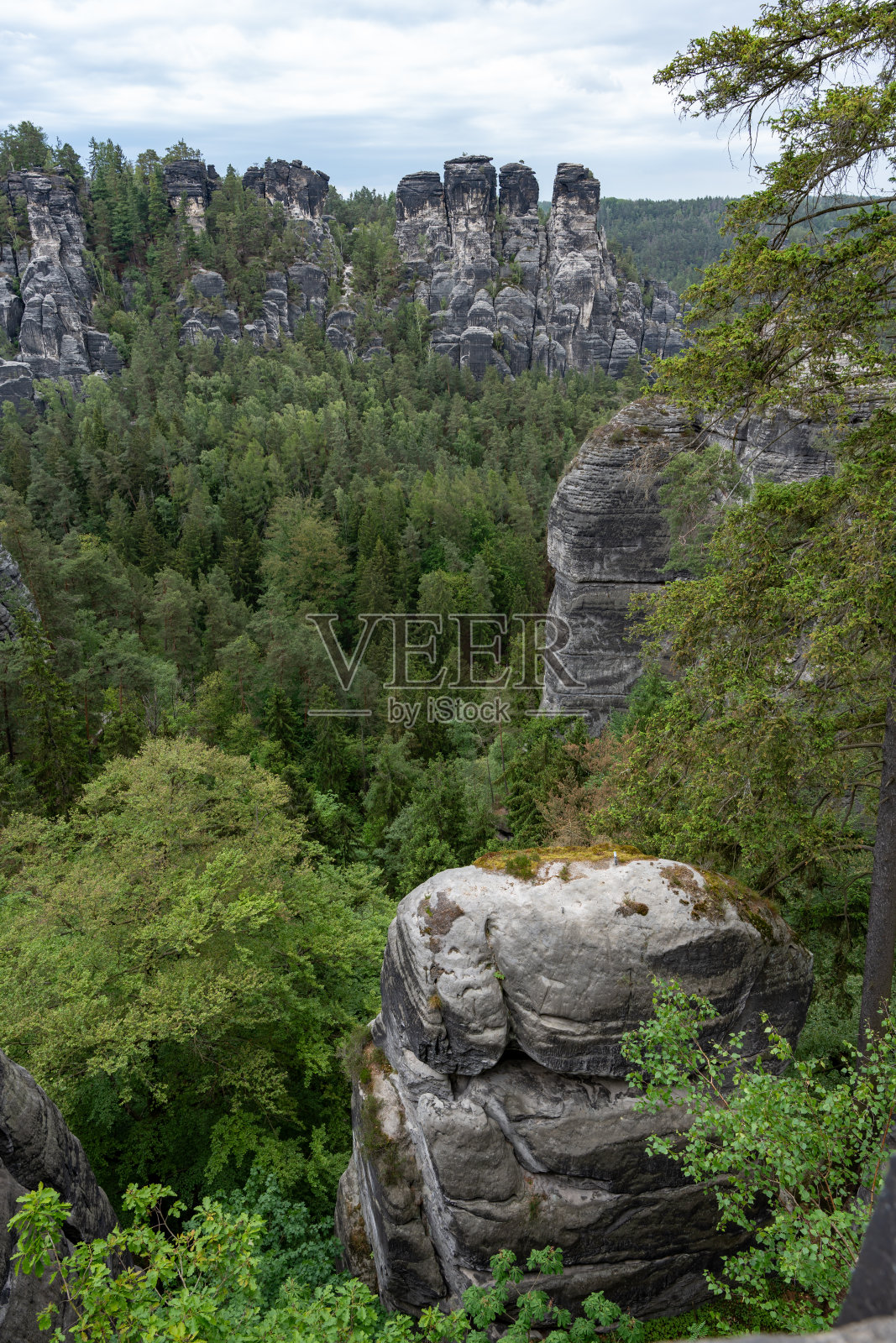 以森林为背景的山脉照片摄影图片