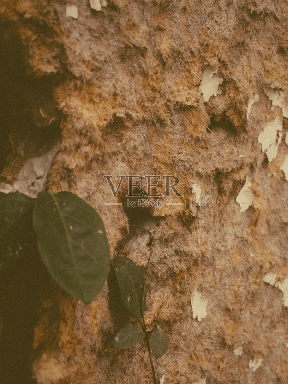 洪水损坏房屋照片摄影图片