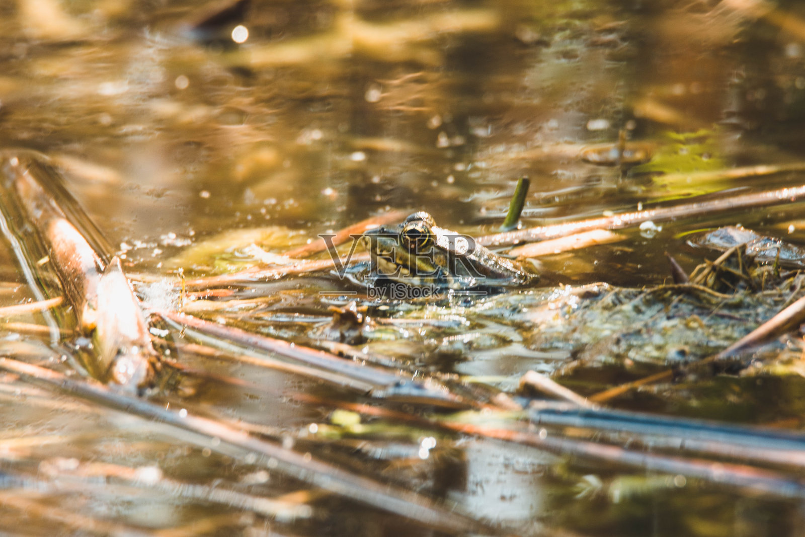 美妙的假期照片摄影图片