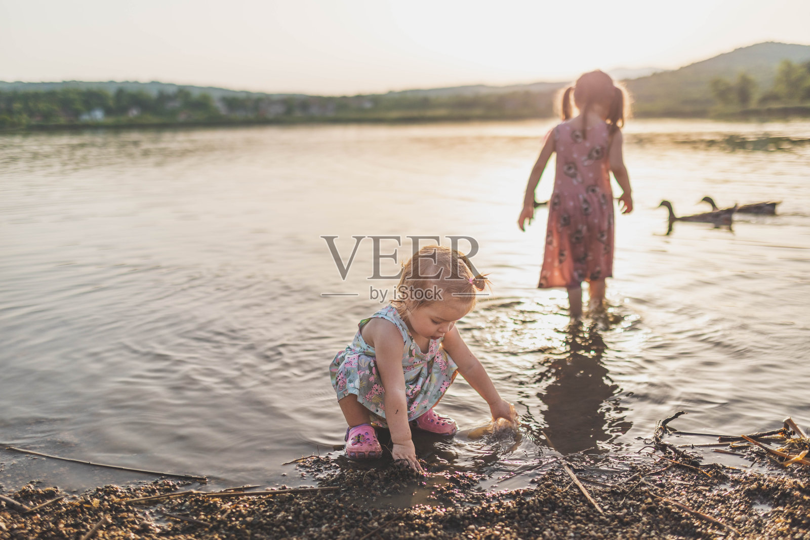 日落时分，孩子们和鸭子在湖边玩耍。照片摄影图片
