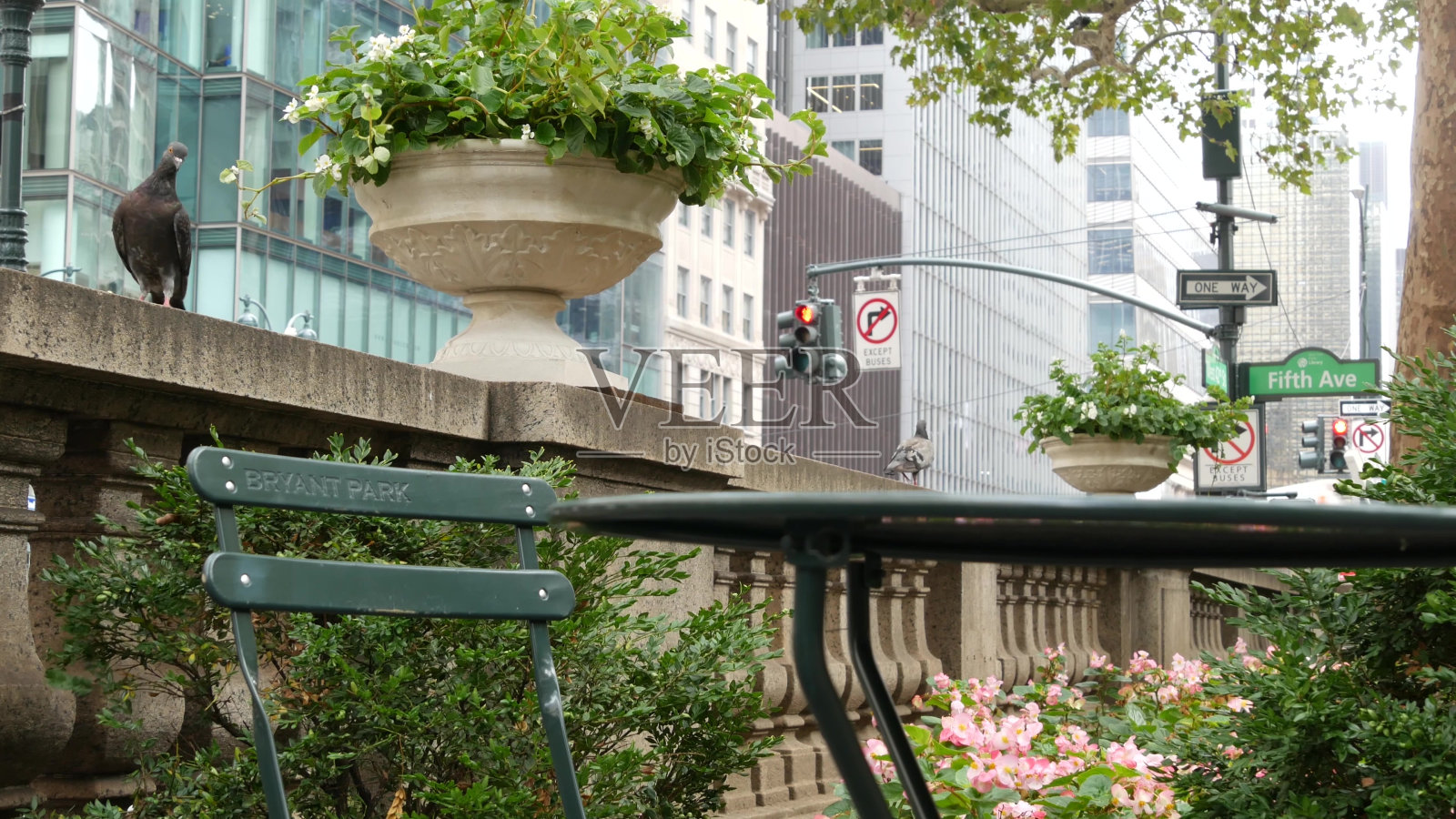 第五大道，5 ave路标志，曼哈顿中城建筑，纽约市第五av街角。照片摄影图片