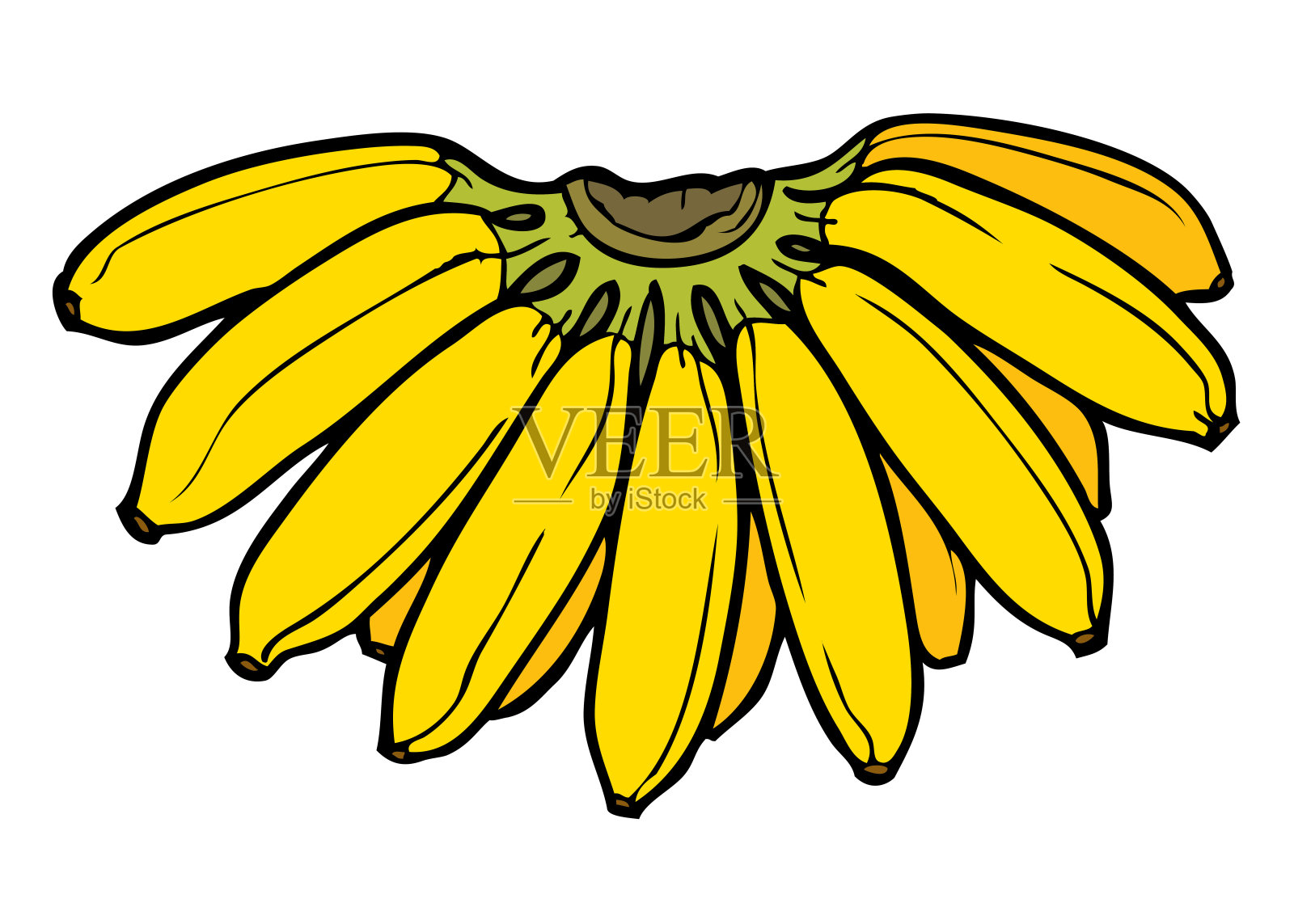 香蕉矢量图插画图片素材