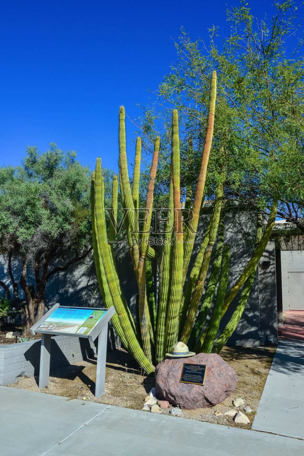 美国亚利桑那州风琴管仙人掌国家纪念碑游客中心的仙人掌附近的信息板照片摄影图片