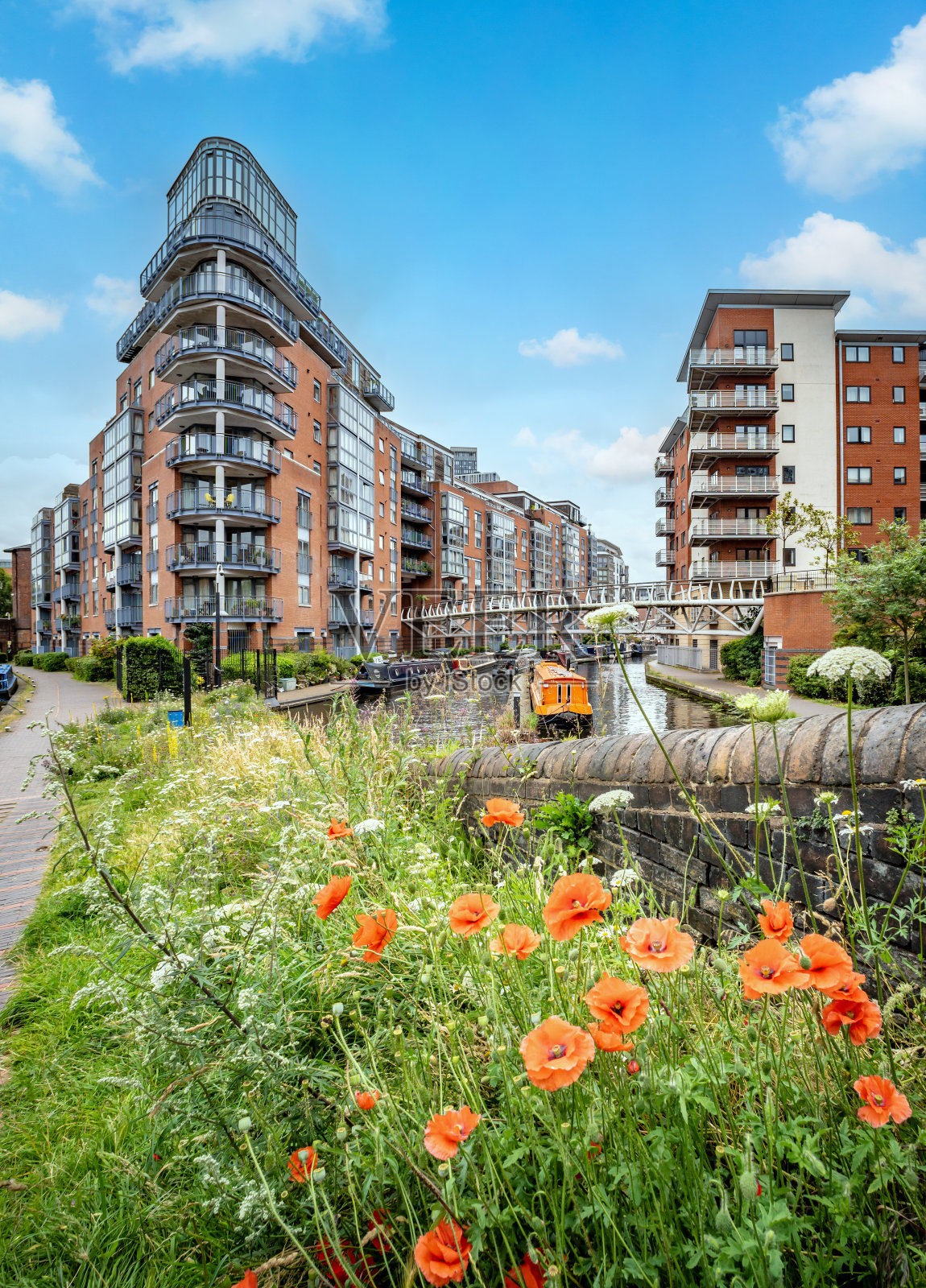 伯明翰运河边的鲜花照片摄影图片