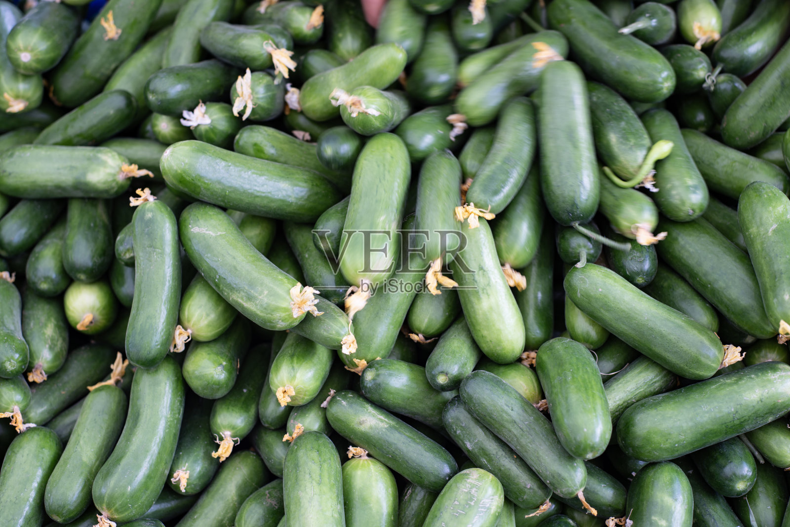 食品市场上的一堆黄瓜特写照片摄影图片