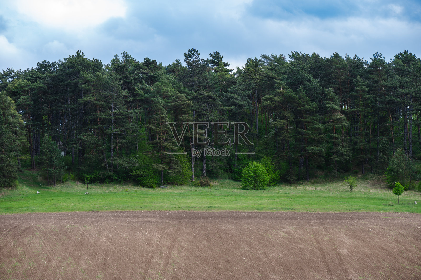 密林景观，山景照片摄影图片