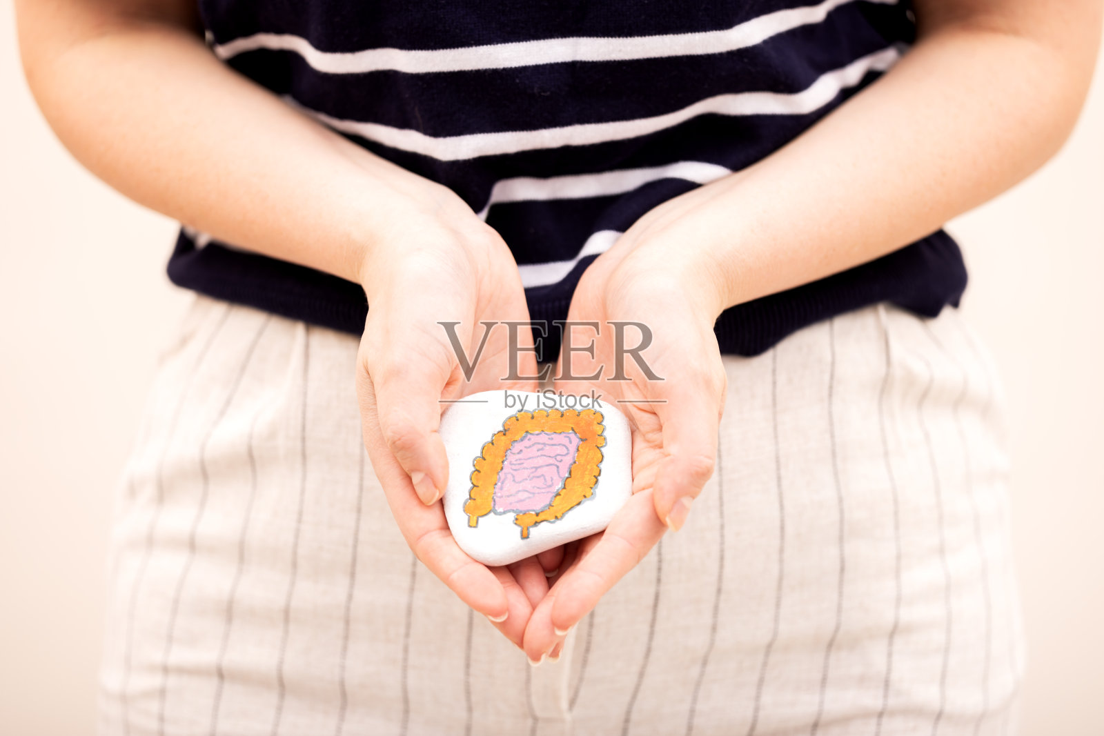 健康消化理念，肠道微生物群的益生菌和益生元照片摄影图片