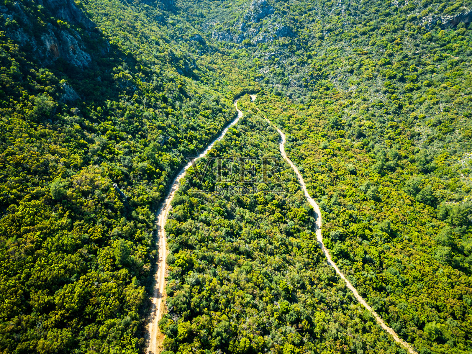 鸟瞰森林中弯弯曲曲的道路照片摄影图片