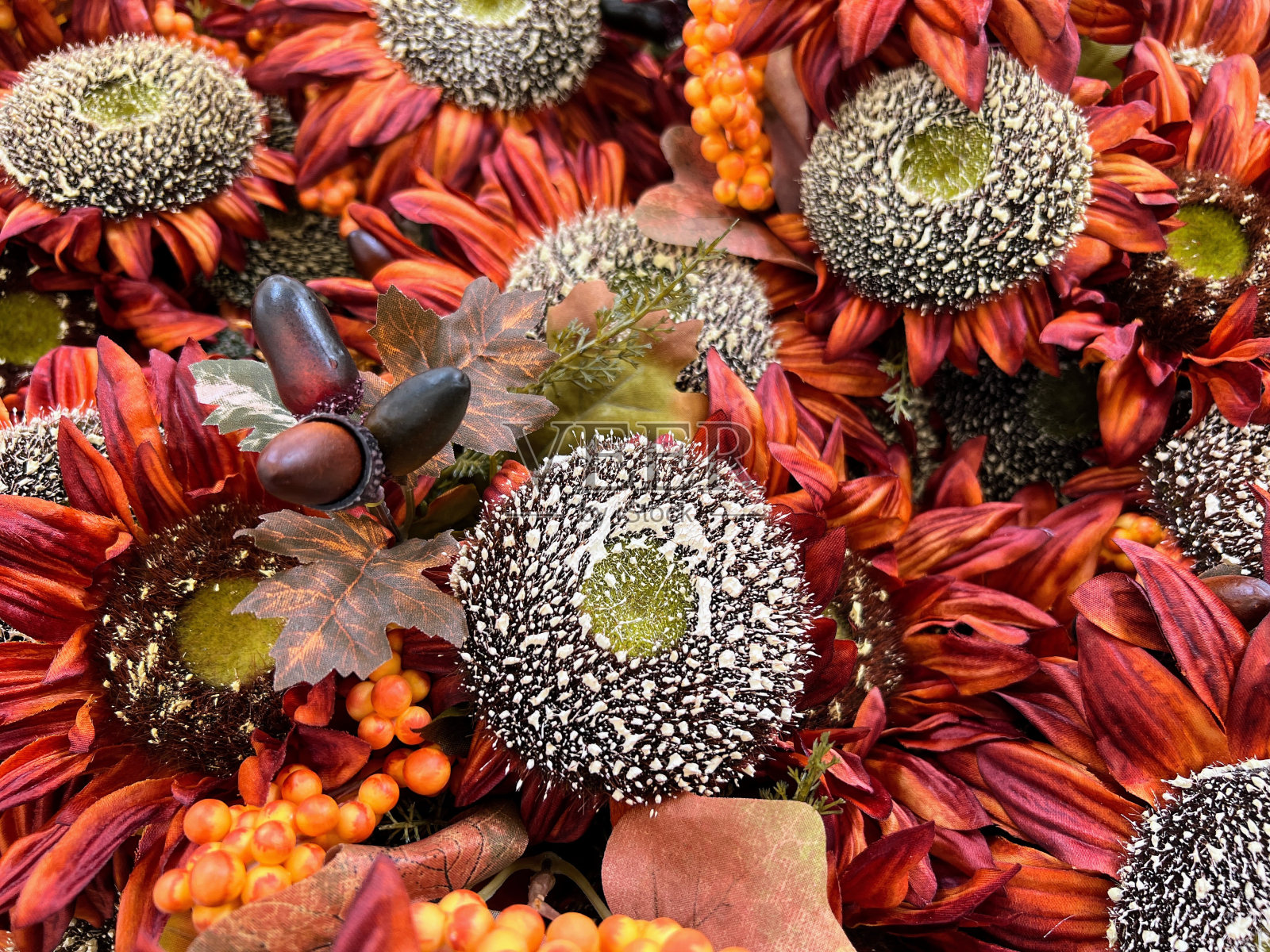 秋天的颜色照片摄影图片