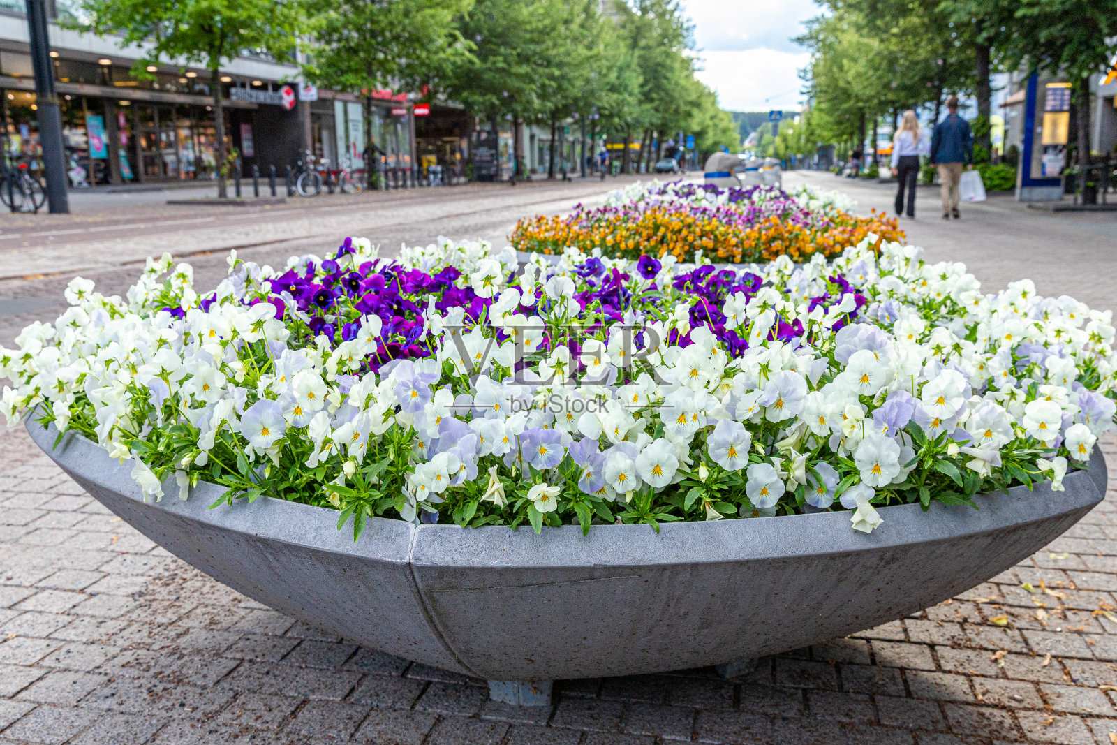 鲜花装饰的城市——芬兰的拉赫蒂。照片摄影图片
