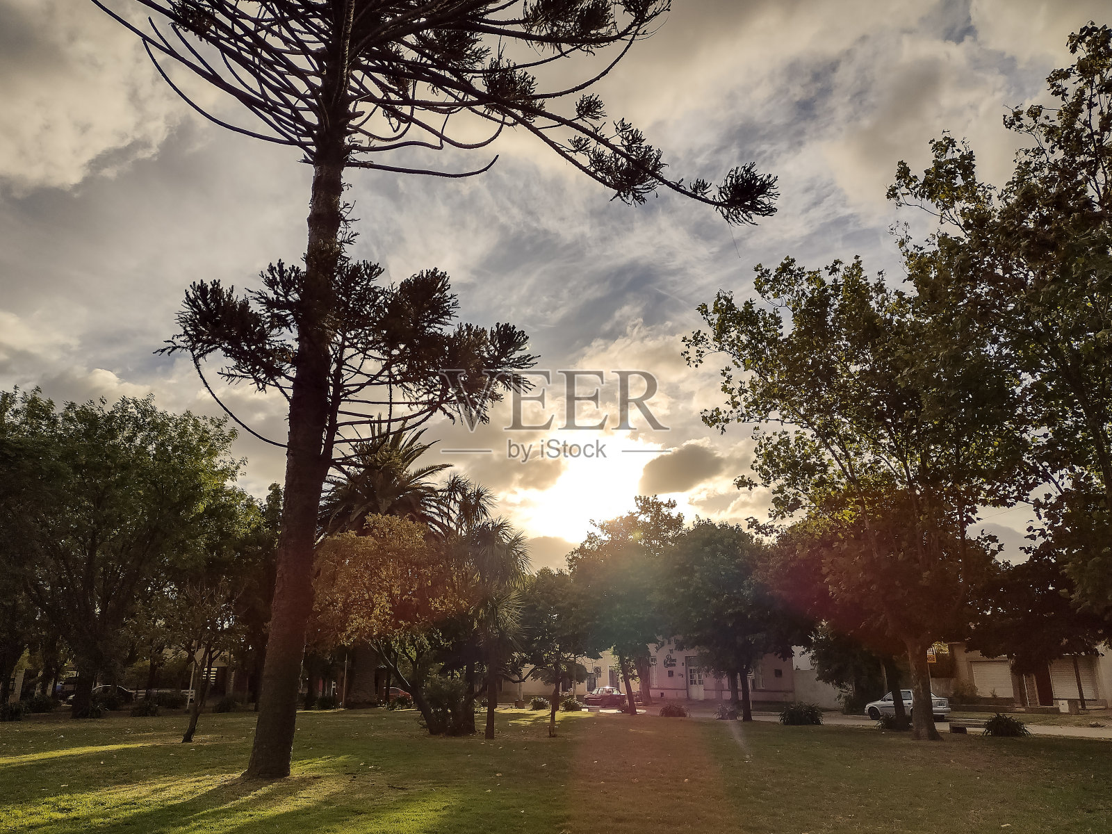 乡村公园里多云的日落照片摄影图片