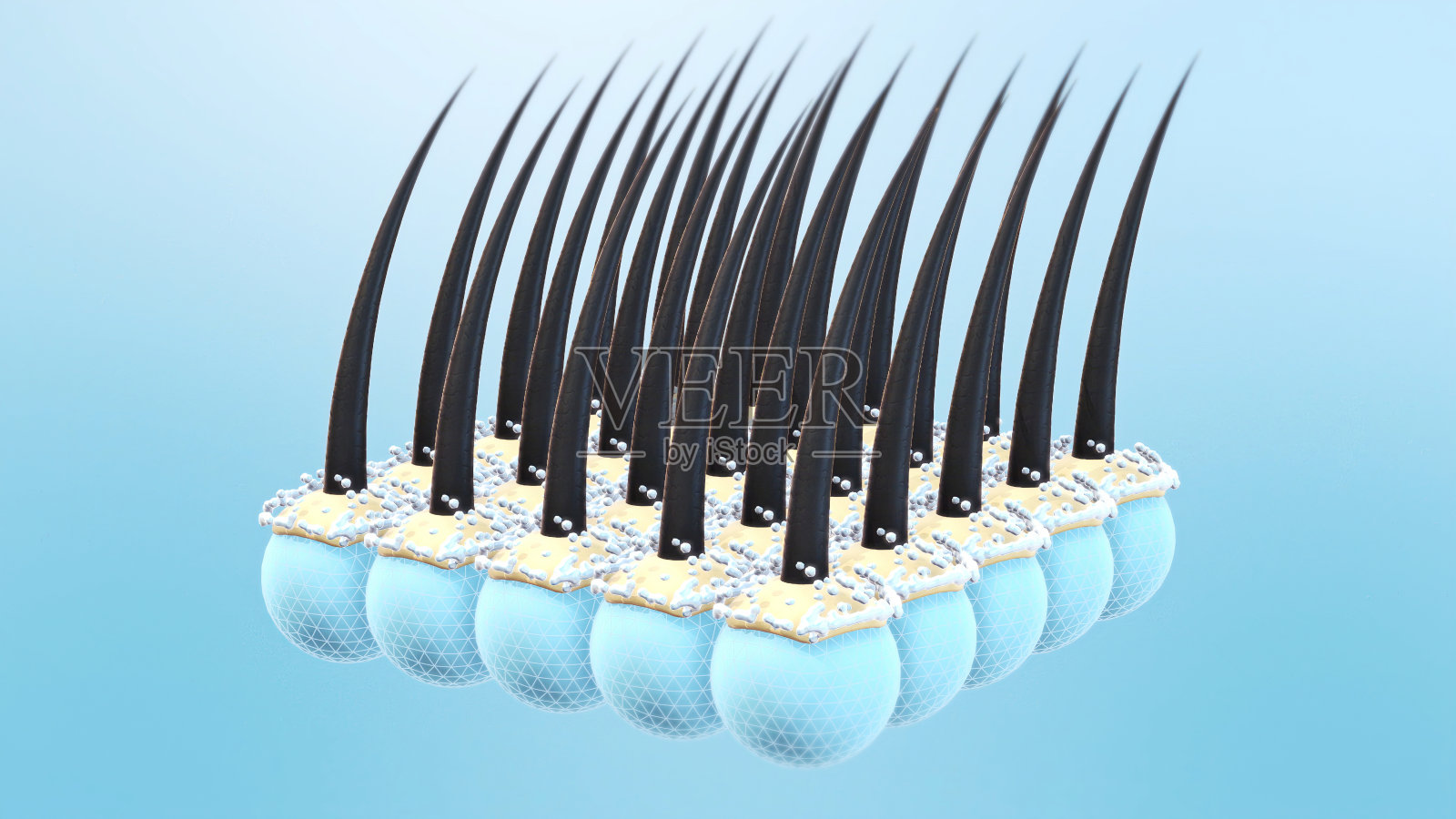 护发护理概念。照片摄影图片