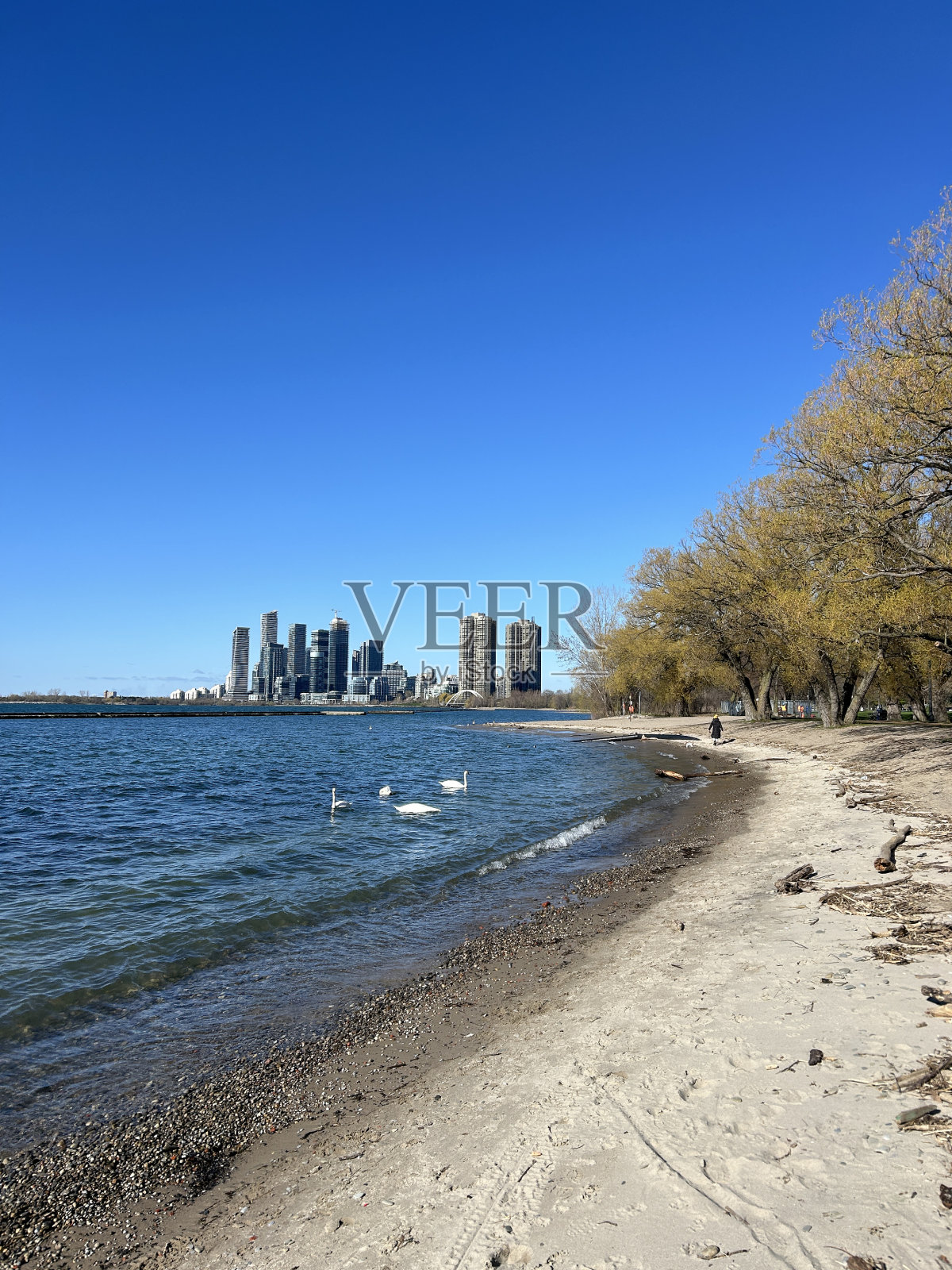 多伦多湖滨照片摄影图片