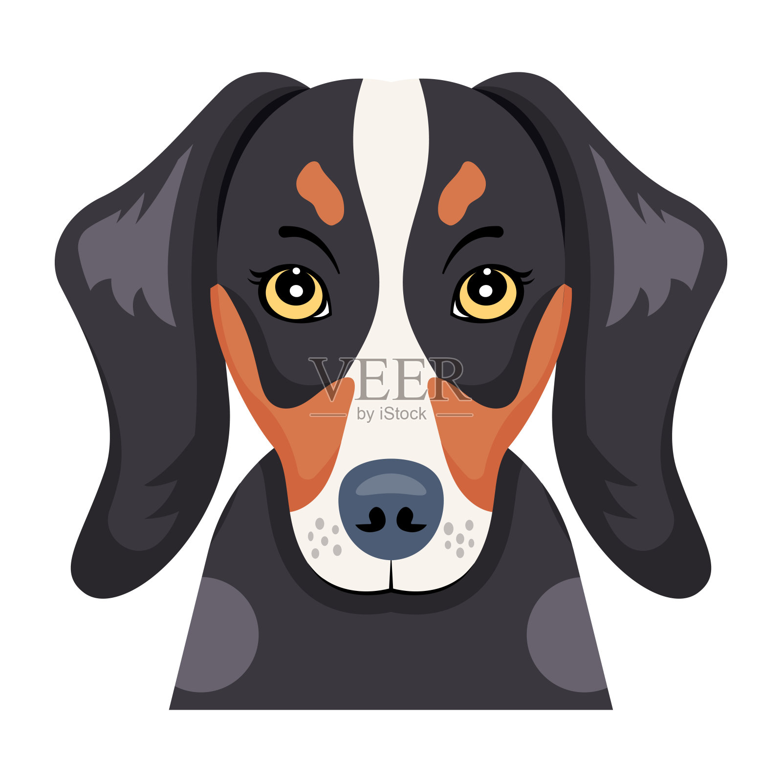 伯恩犬面部的平面向量插画图片素材