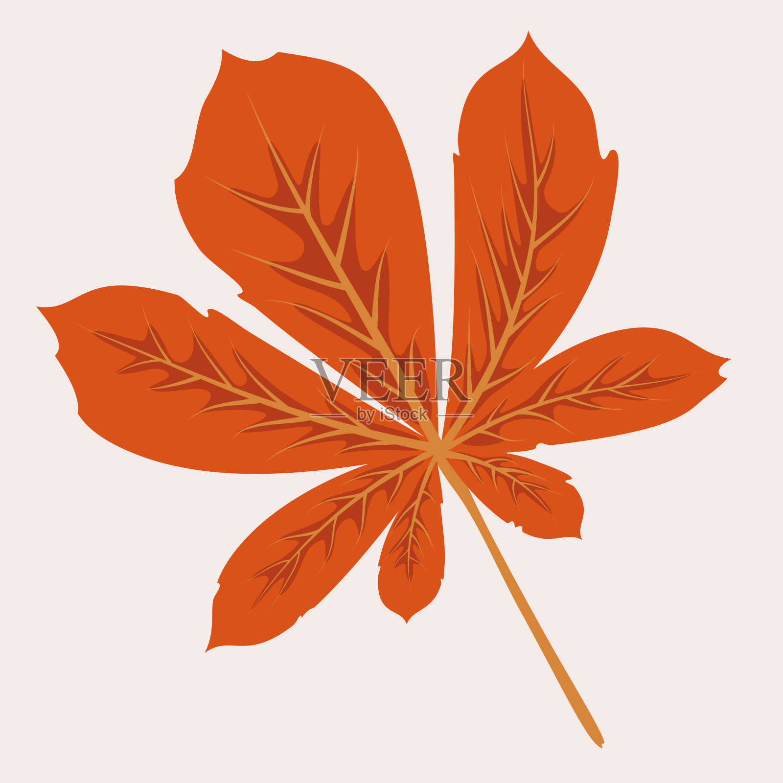 秋栗叶。装饰性的秋叶。插图模板。向量插画图片素材