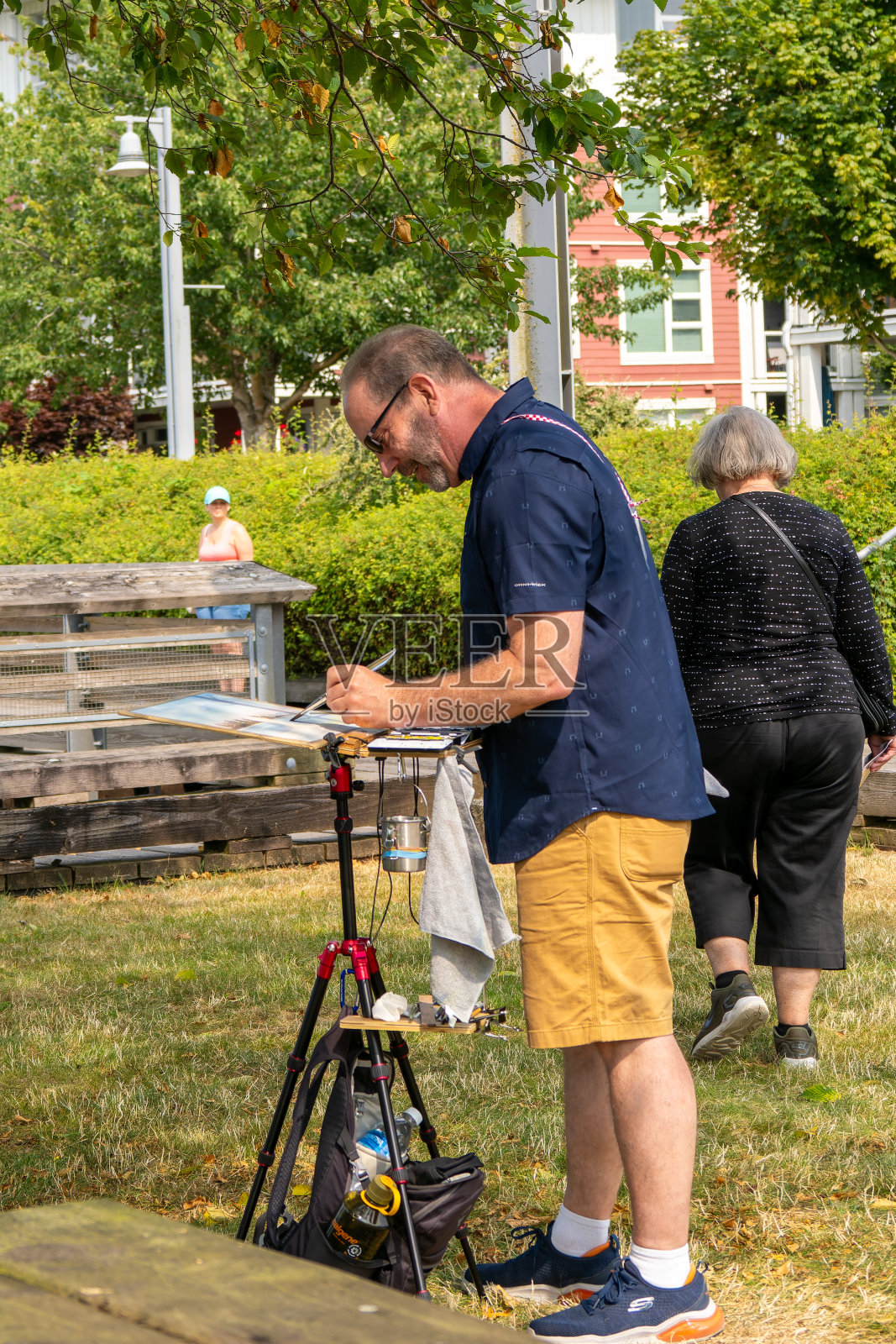 史蒂夫斯顿艺术大奖赛照片摄影图片