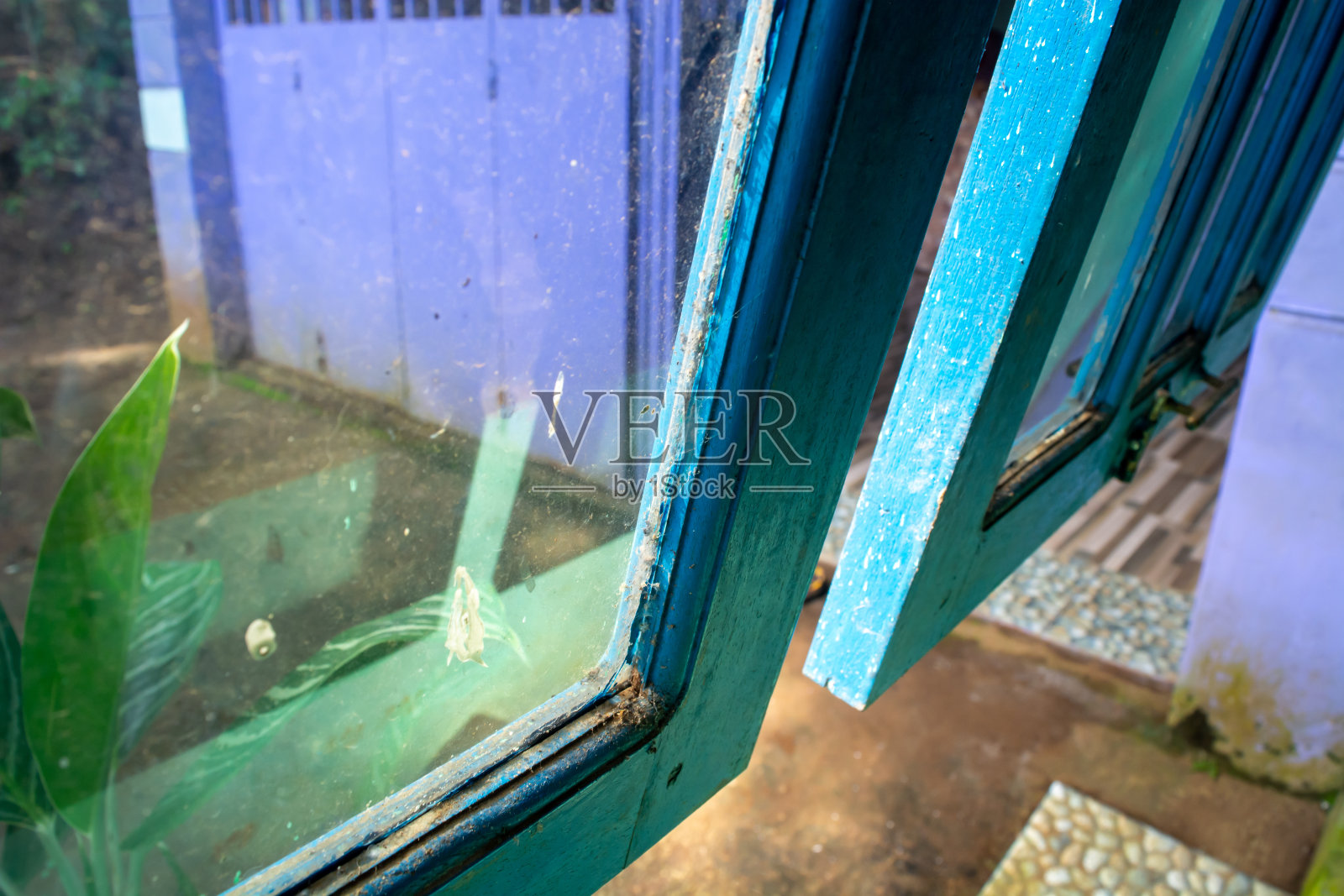 模糊对象的背景与自然主题照片摄影图片