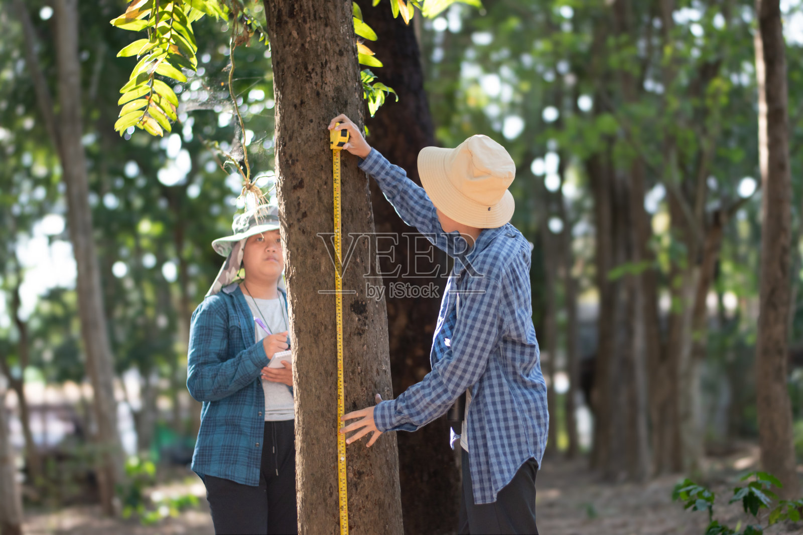 学校植物园照片摄影图片