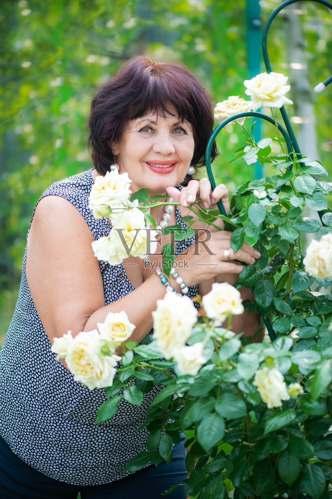 66岁的女人在花园里。一个成熟的女人在她的花园里欣赏她亲手种植的玫瑰照片摄影图片