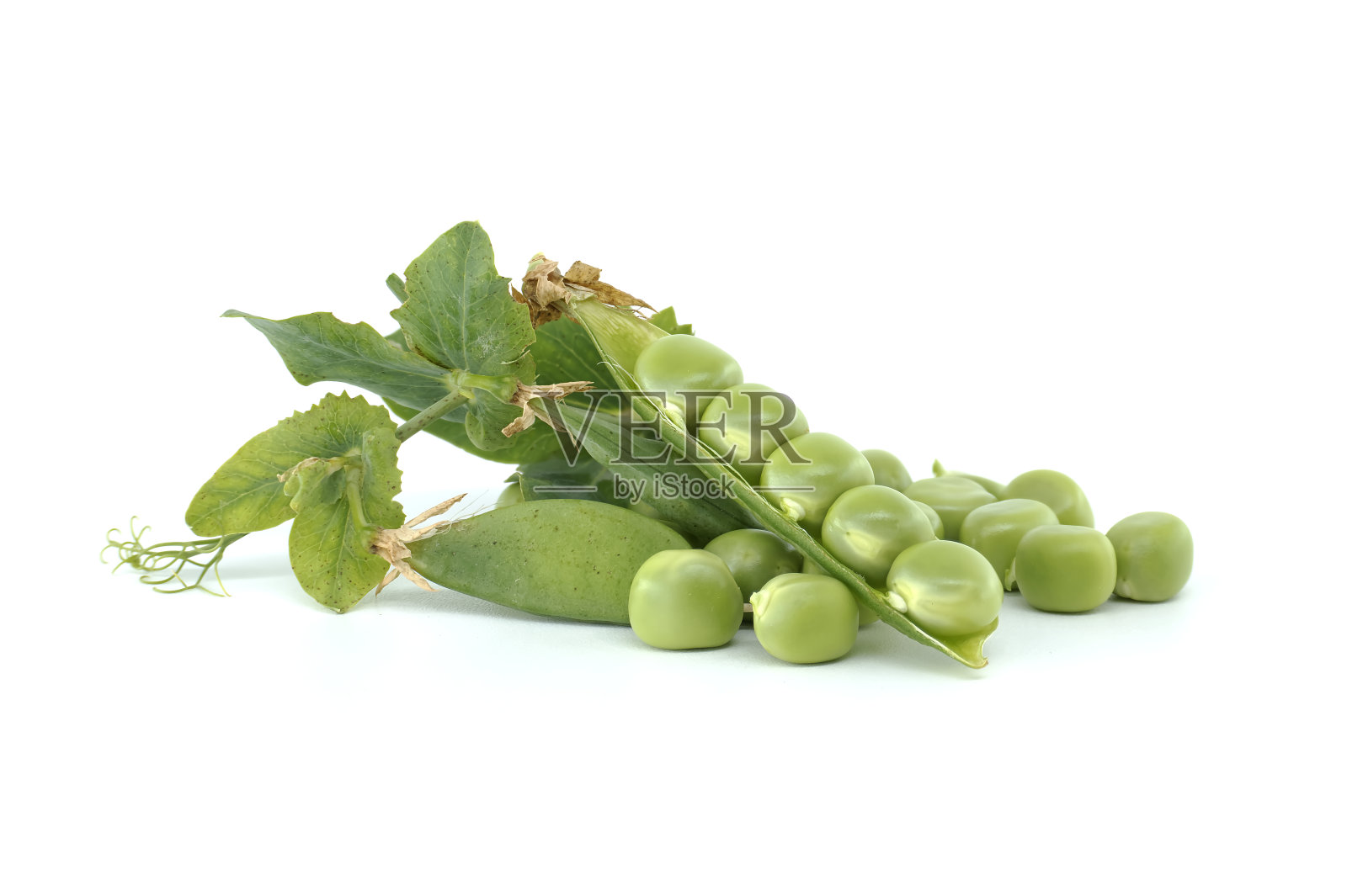 一束绿豌豆被隔离在白色的背景上照片摄影图片