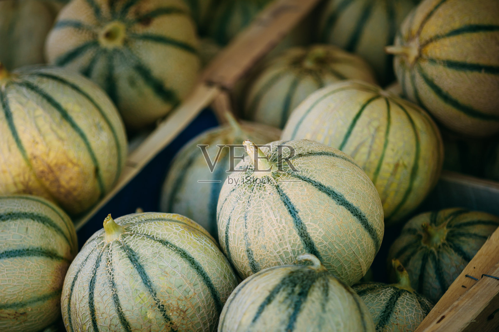 街市出售的瓜类特写照片摄影图片
