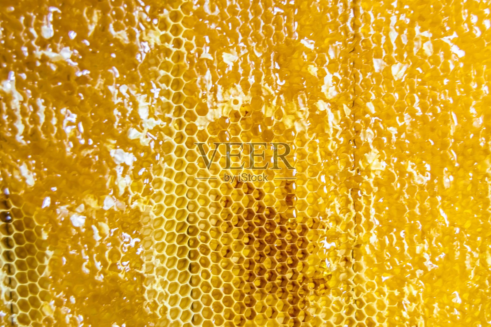 一滴蜜蜂的蜂蜜从装满金色花蜜的六边形蜂巢中滴下照片摄影图片