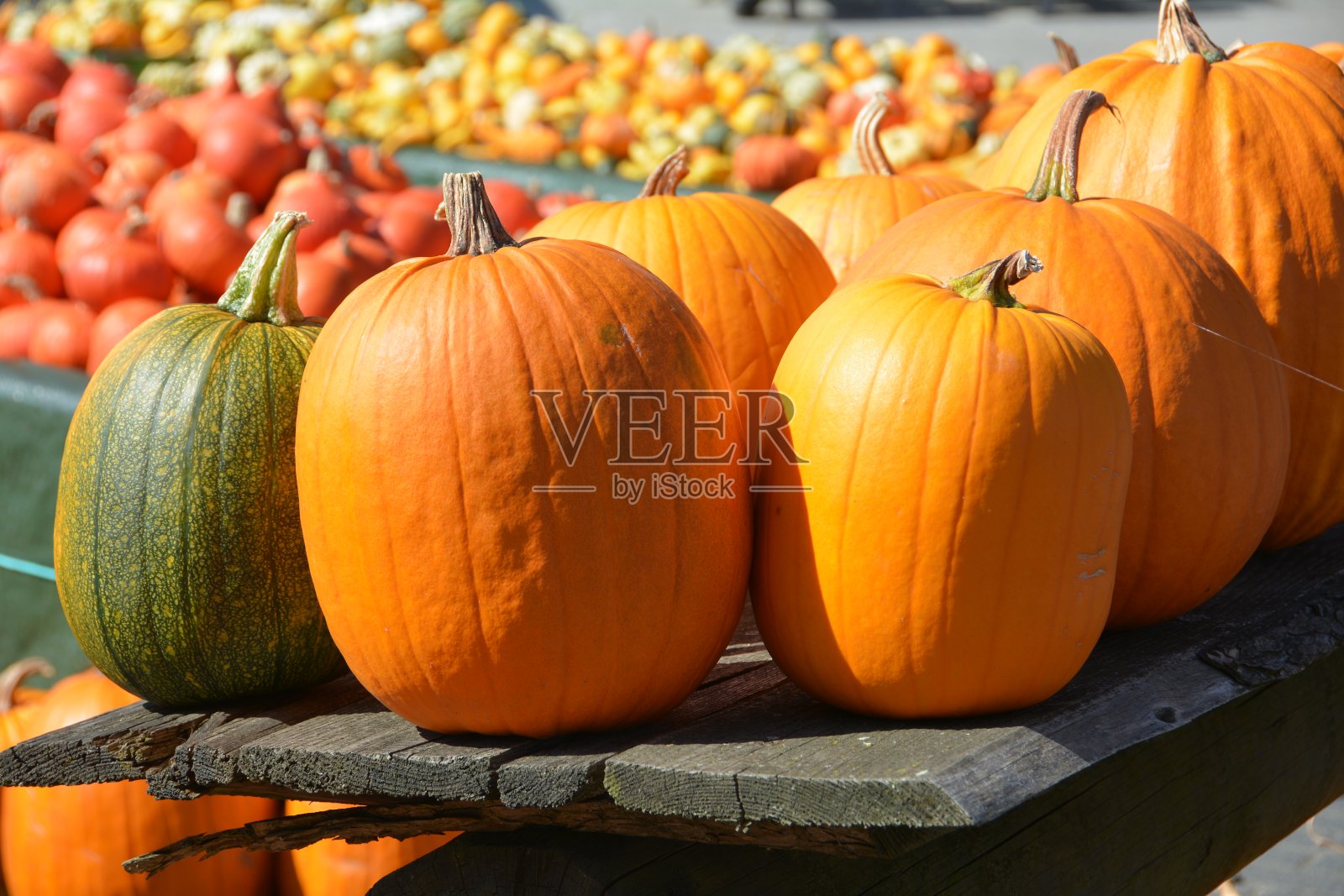 市场上出售的南瓜特写照片摄影图片