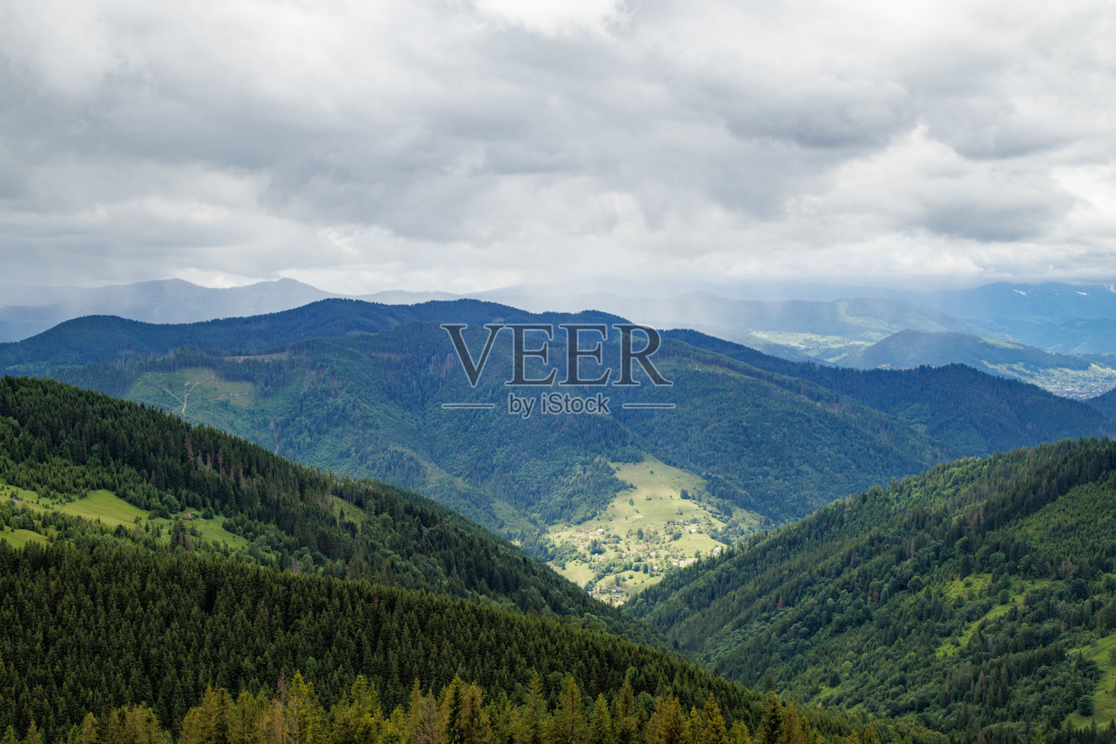 乌克兰的田野和草地照片摄影图片