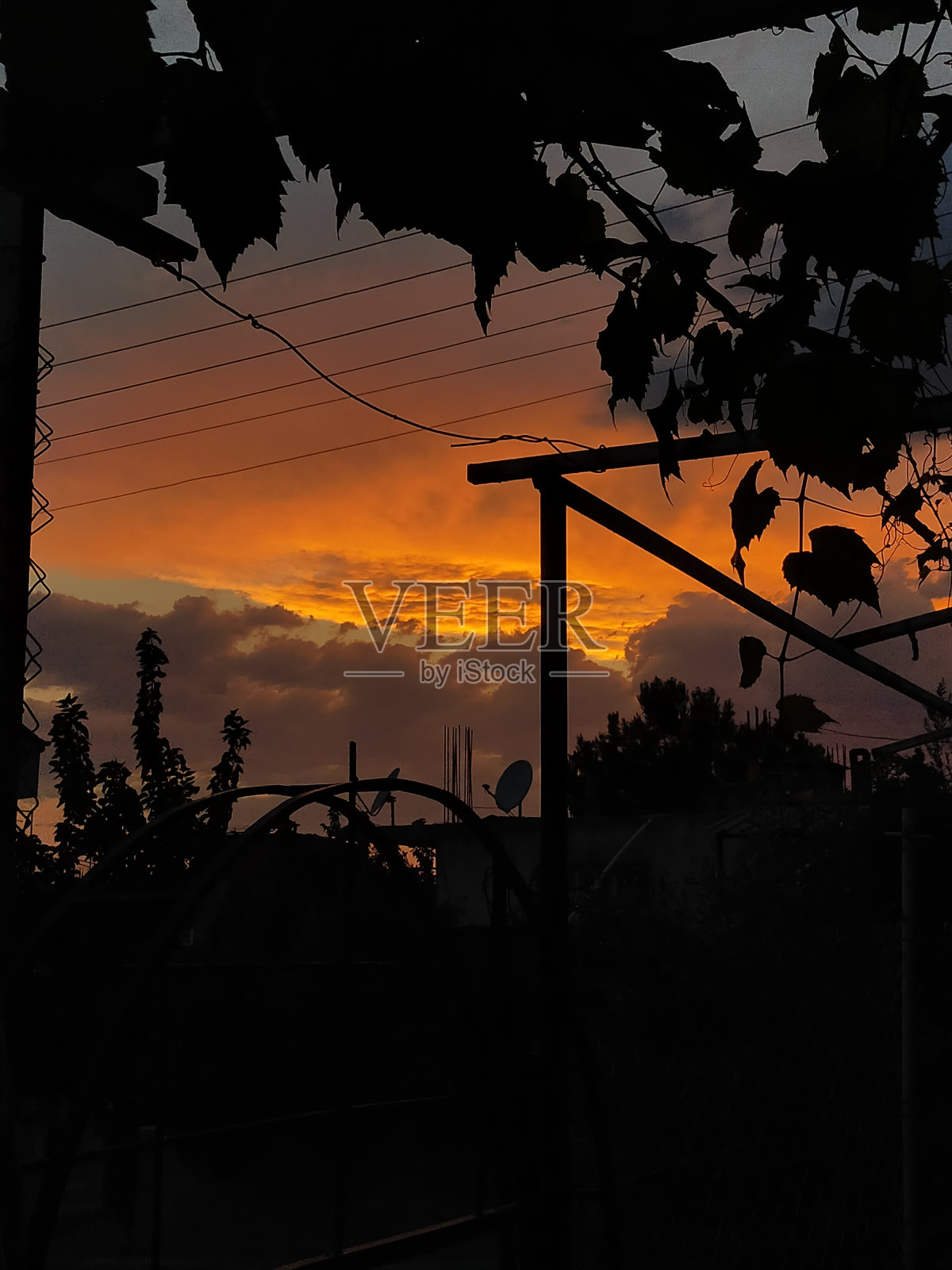 橙色的天空照片摄影图片