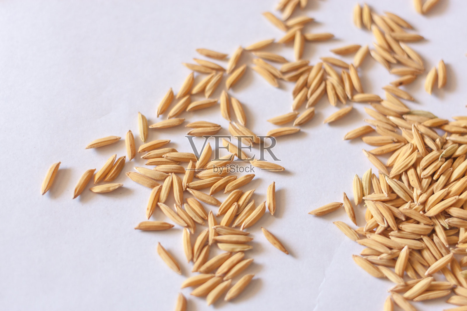 水稻种子在白色背景下的高角度视角照片摄影图片