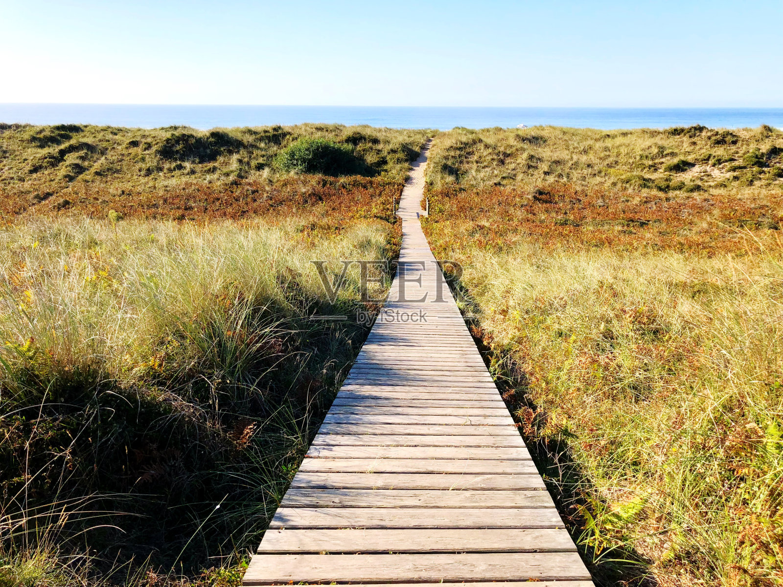 草地上的木板路对着天空照片摄影图片