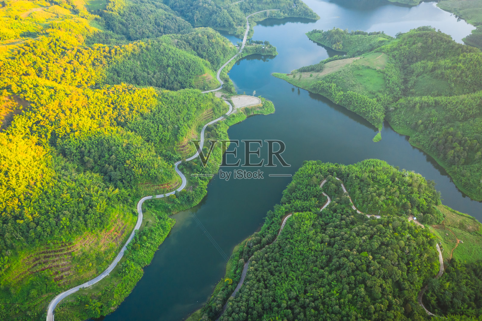 树木在景观上的高角度视图照片摄影图片