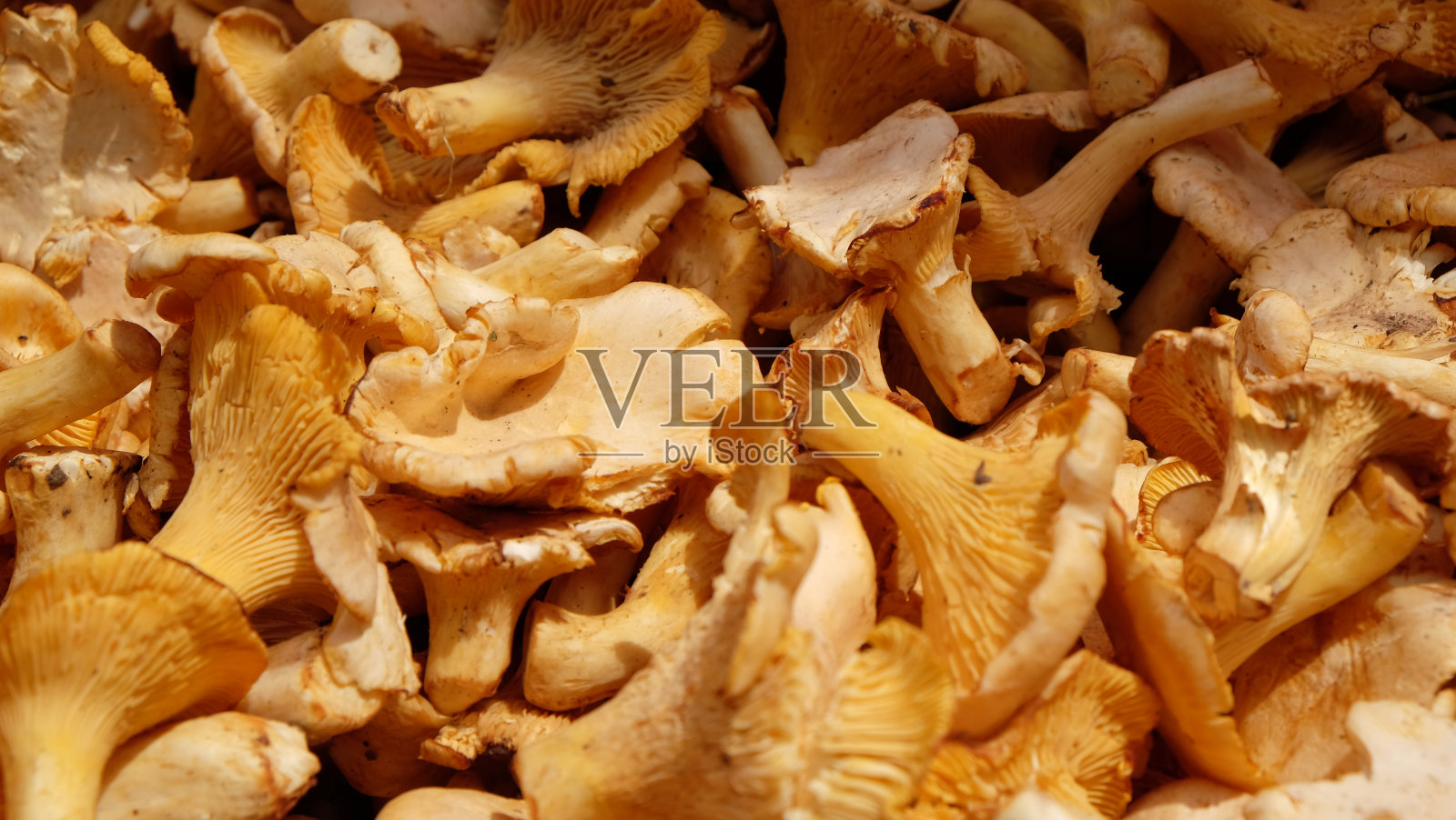 全画幅拍摄的鸡油菌蘑菇在市场摊位出售照片摄影图片